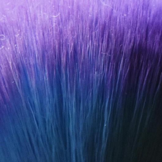 Makeup VIP Membership